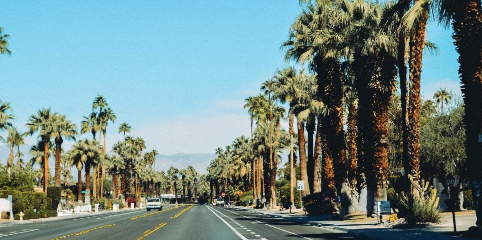 10 Tips For Surviving Your Holiday Road Trip